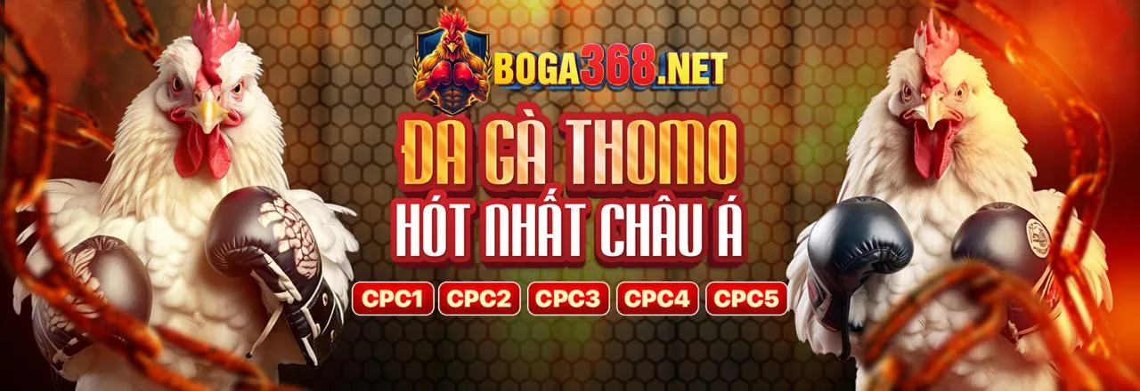 Banner giới thiệu rg8369 - Nền tảng cá cược uy tín